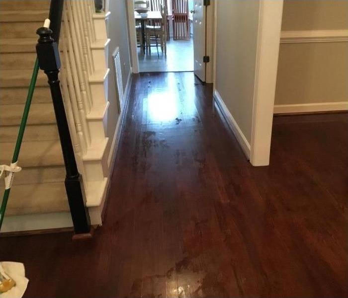 Water on hardwood floors